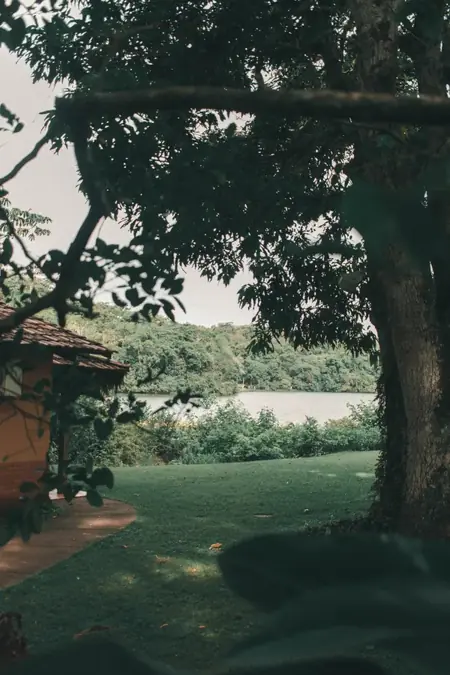 Nathalie Badey, Accompagnatrice de jeûne Buchinger certifiée FFJR