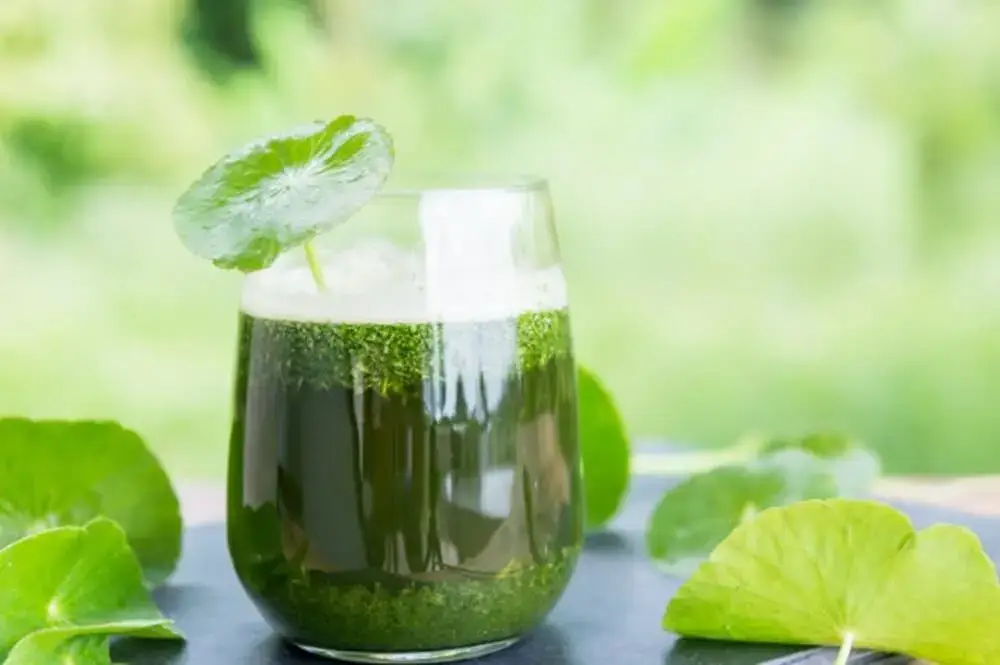 Jeûner : découvrez notre guide complet, un incroyable atout santé