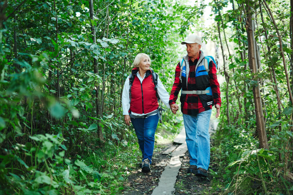 Préparer sa randonnée en forêt