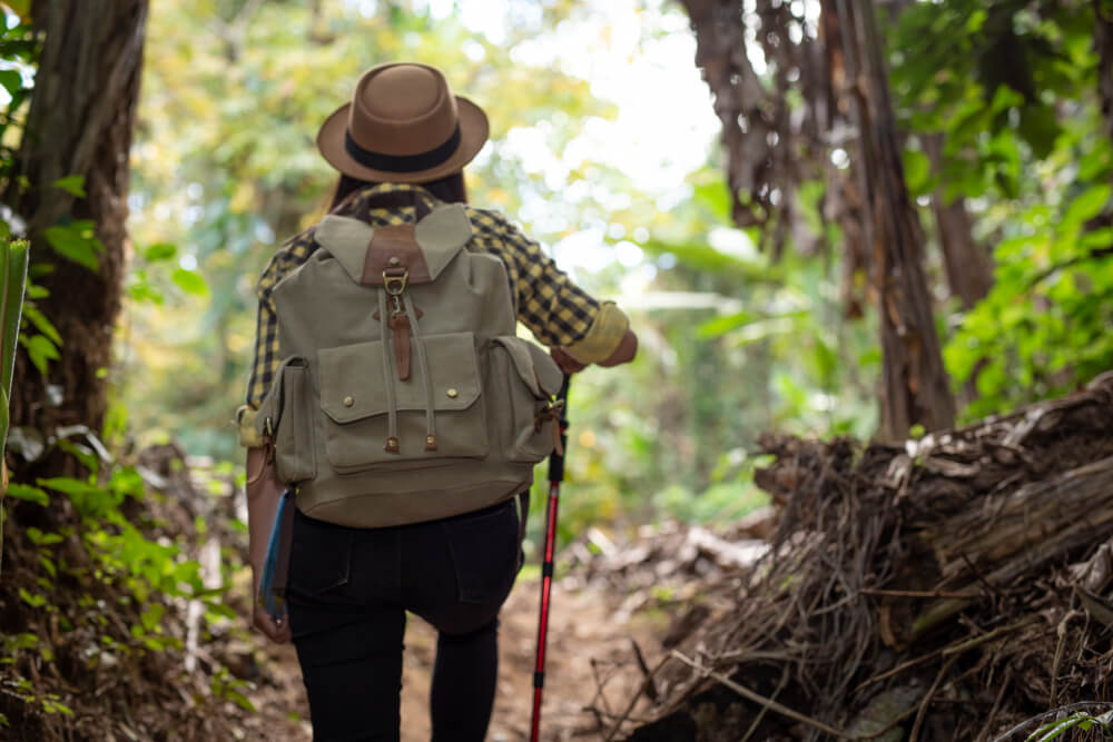 Préparation d'une randonnée en forêt